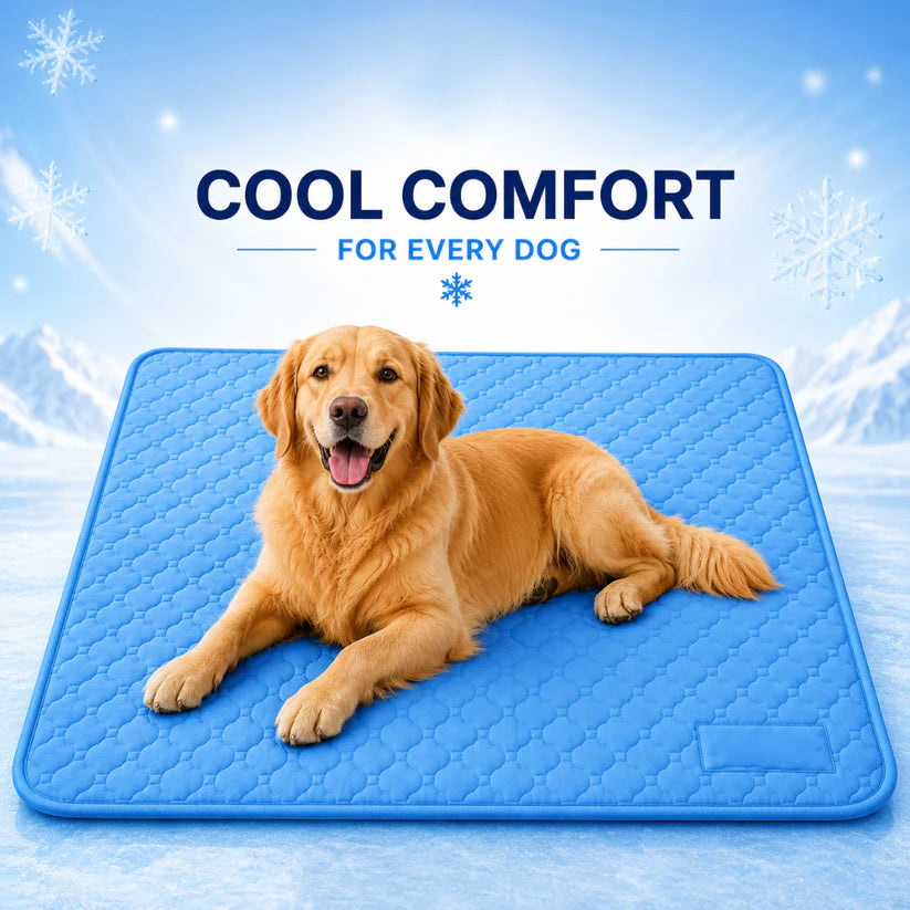 Cooling Mat That Finally Keeps Their Dogs Cool, Calm, and Comfortable