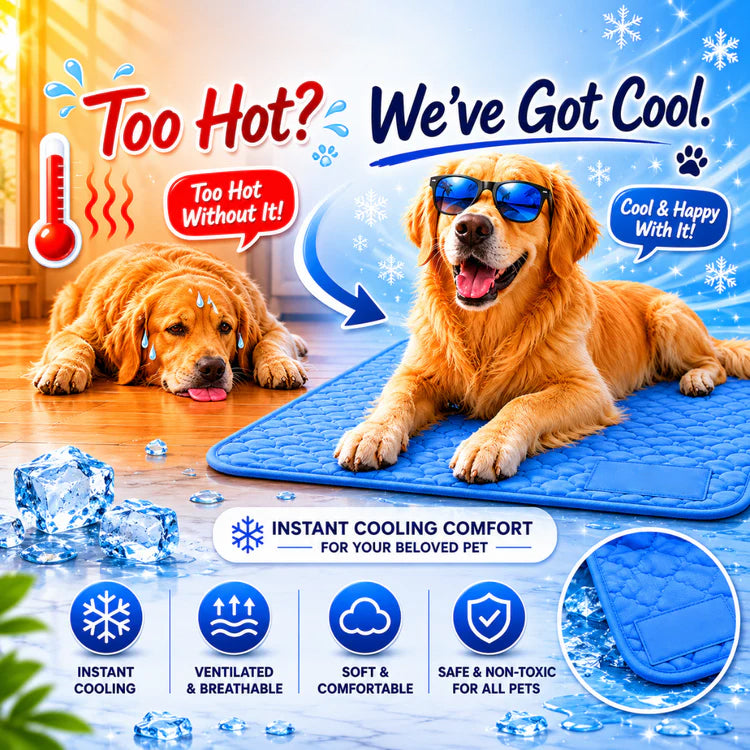 Cooling Mat That Finally Keeps Their Dogs Cool, Calm, and Comfortable